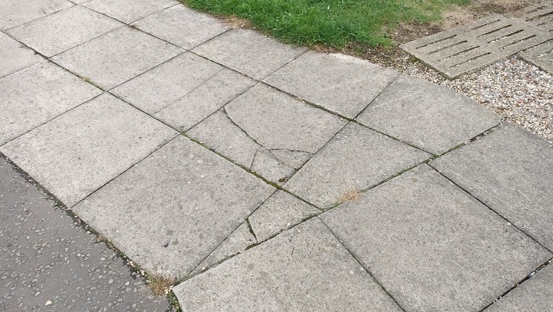 2024-09-25 16.38.39.resized.jpg